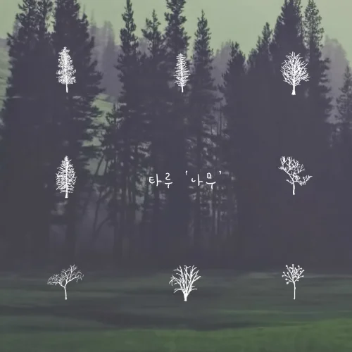 Cover for 나무 (Orchestra Ver.)