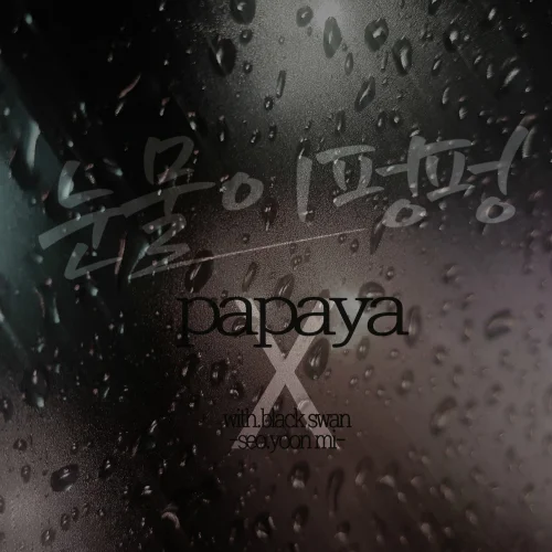 Album Art for 눈물이 펑펑