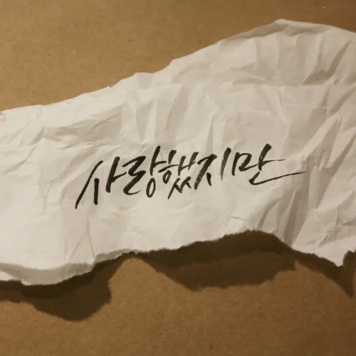 Cover for 사랑했지만