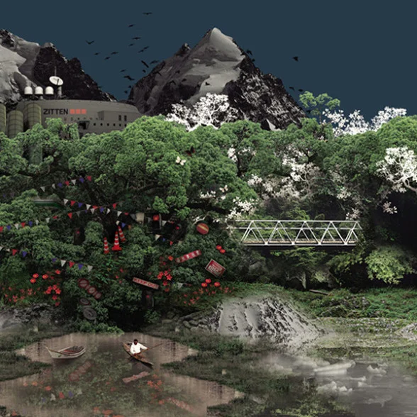 Cover for Rock Doves