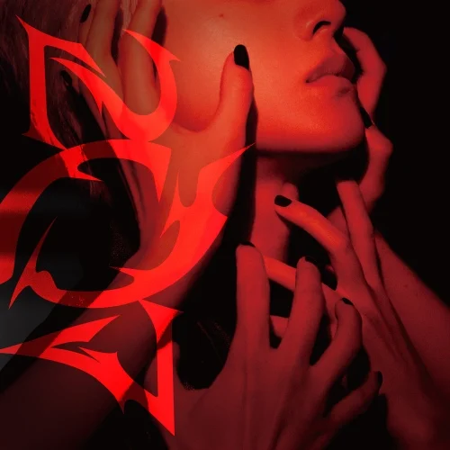 Cover for We Can′t Explain