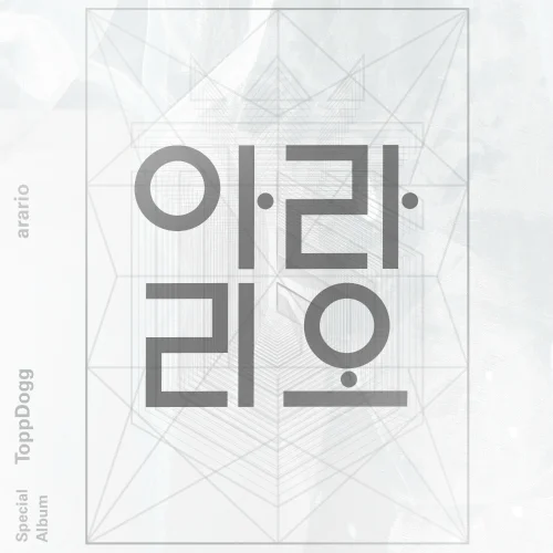 Cover for 아라리오 (Remix)