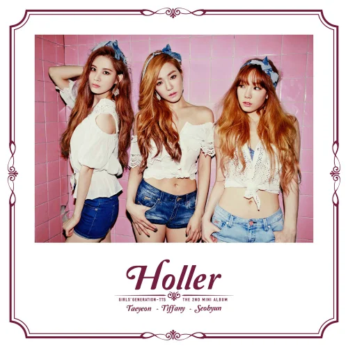 Cover for Holler