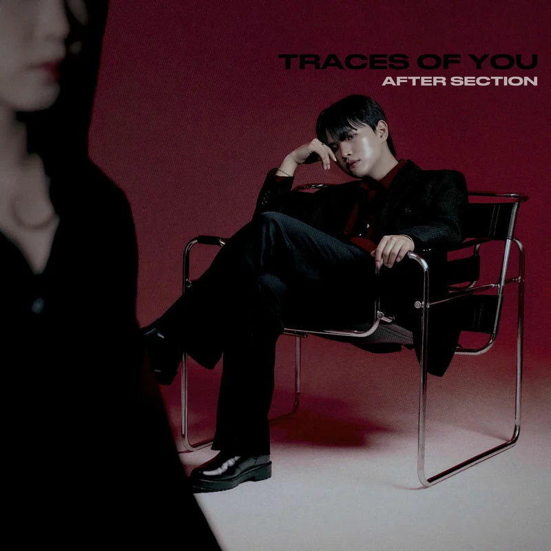 Cover for Traces of You