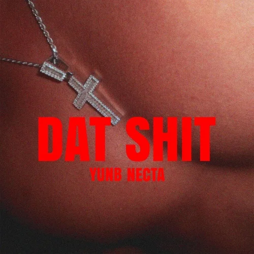 Cover for DAT SHIT